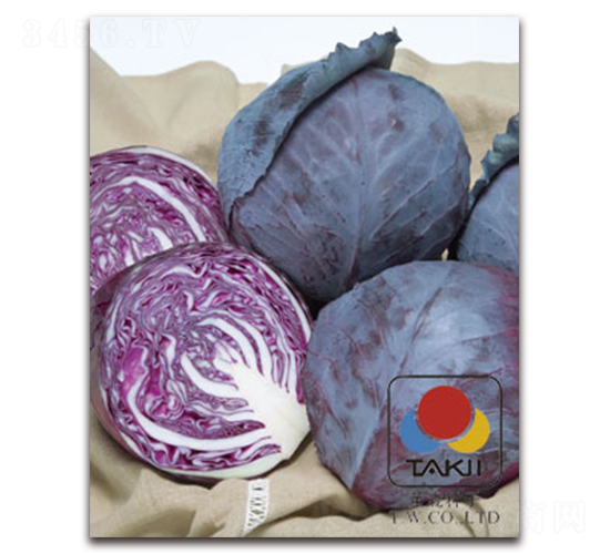 �ϼ�-�ϸ��{(l��n)�N��-�S�{�N��