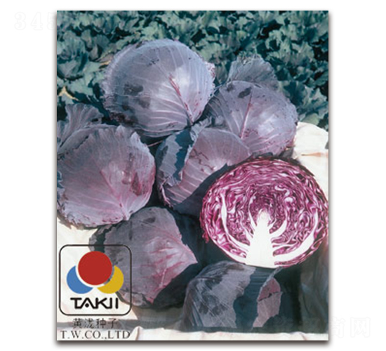 �����R��-�ϸ��{�N��-�S�{�N��