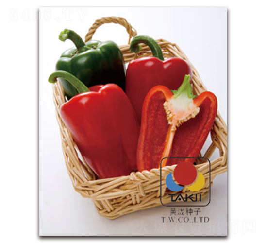 �t�-�𽷷N��-�S�{�N��