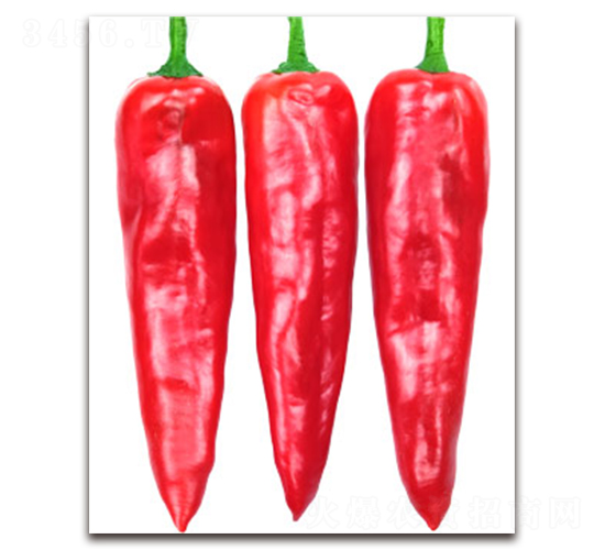 ���_��-�𽷷N��-�S�{�N��