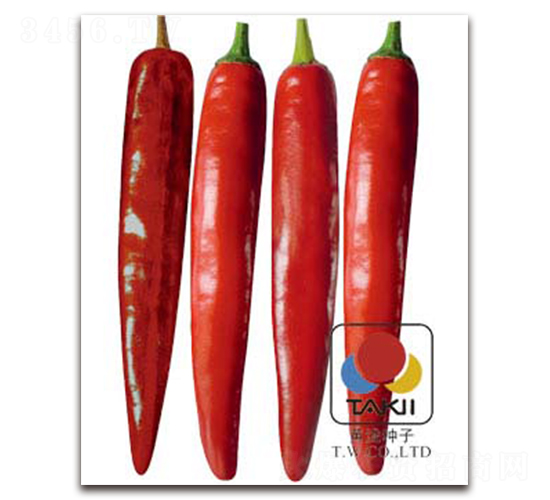 �����̖(h��o)-�����N��-�S�{�N��