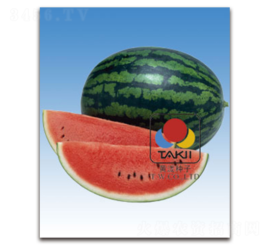 ����-���ϷN��-�S�{�N��