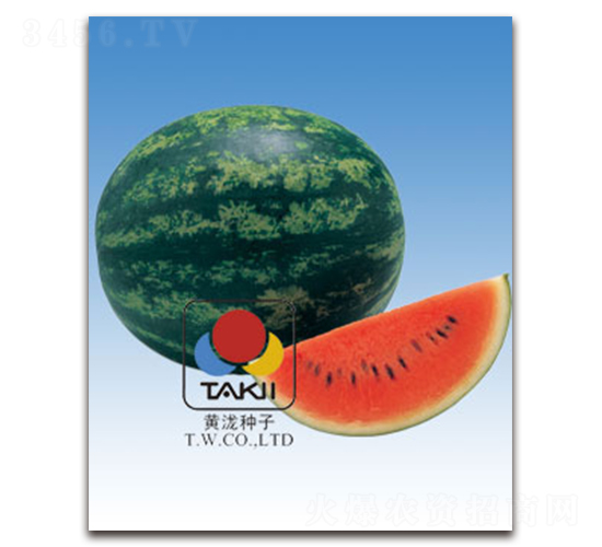 �{������-���ϷN��-�S�{�N��