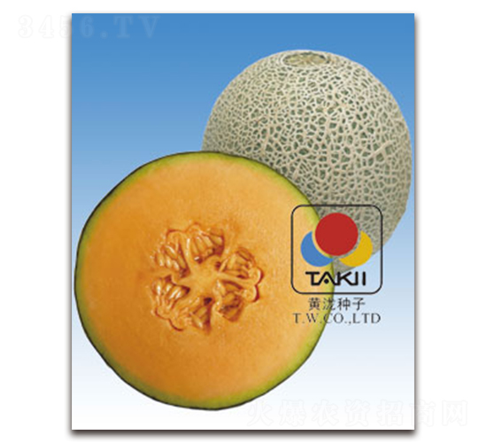 TI-175-��ϷN��-�S�{�N��