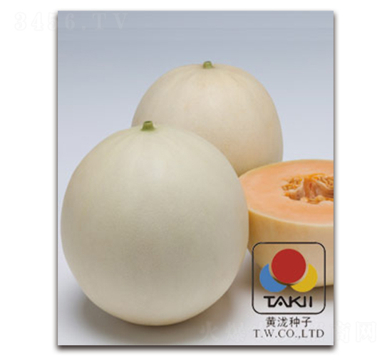 ����t-��ϷN��-�S�{�N��