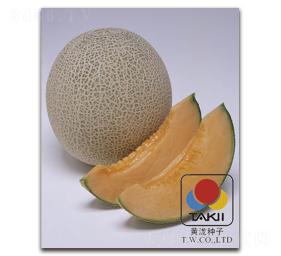 TI-122-��ϷN��-�S�{�N��