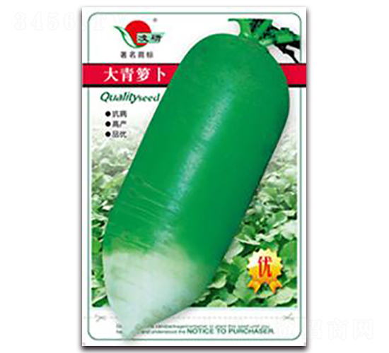 �����}��-�}���N��-�ʴ��r(n��ng)�I(y��)