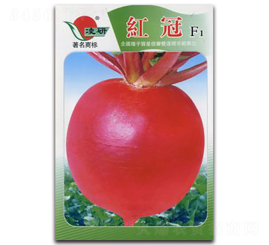 �t��F1-�}���N��-�ʴ��r(n��ng)�I(y��)