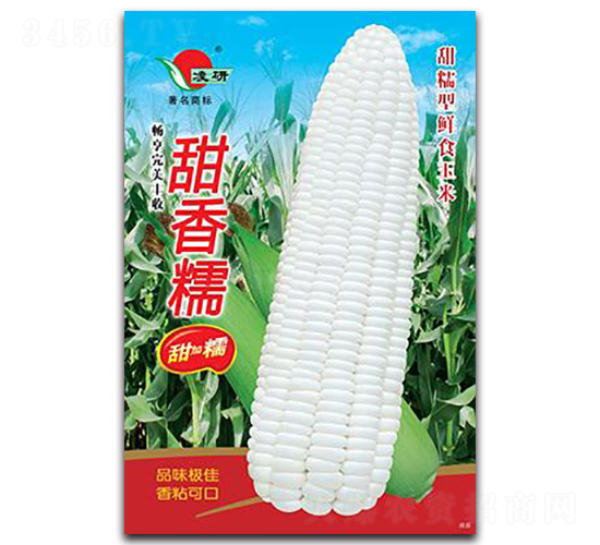 ����Ŵ-Ŵ���׷N��-�ʴ��r(n��ng)�I(y��)