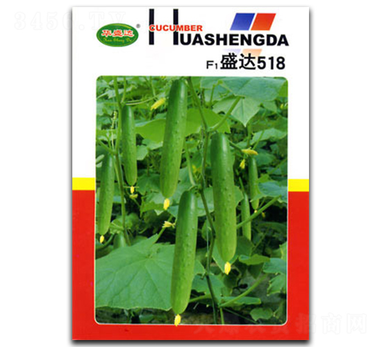 ʢ�_(d��)518-�S�ϷN��-�������