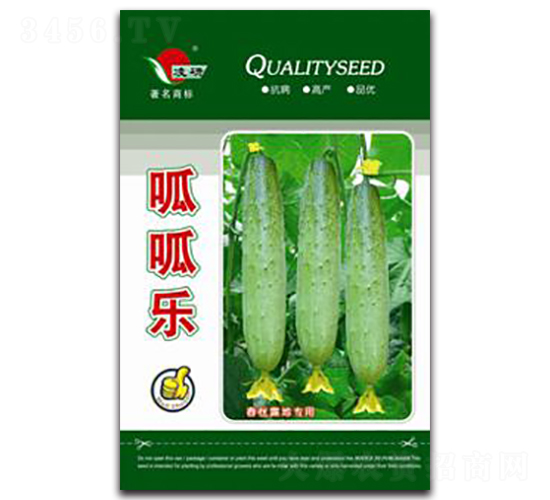 ���ɘ�-�S�ϷN��-�ʴ��r(n��ng)�I(y��)