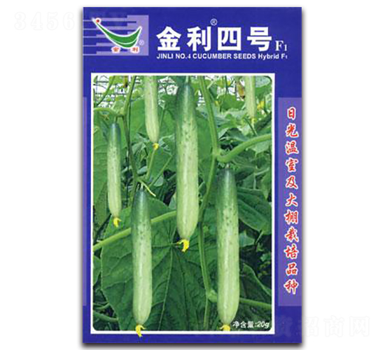 ������̖F1-�S�ϷN��-�ʴ��r(n��ng)�I(y��)