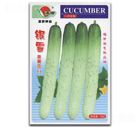 �yѩ-�S�ϷN��-�ʴ��r(n��ng)�I(y��)