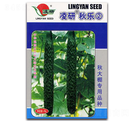 �����(l��)��-�S�ϷN��-�ʴ��r(n��ng)�I(y��)