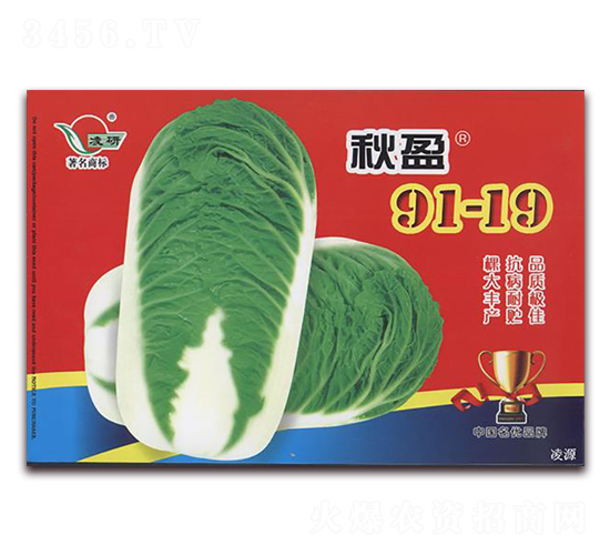 ��ӯ91-19-�ײ˷N��-�ʴ��r�I(y��)