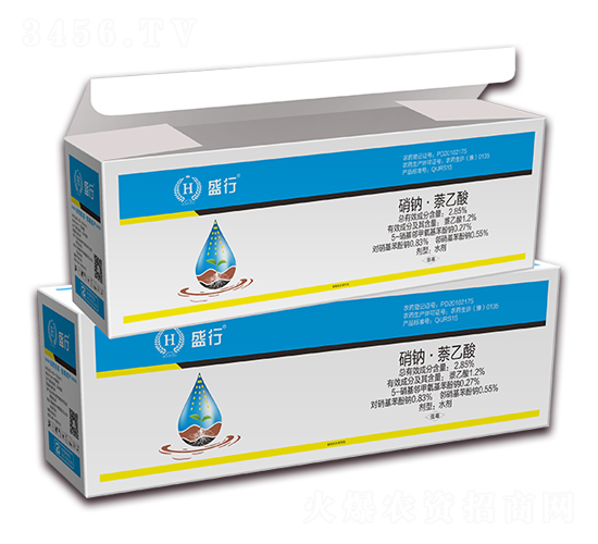 ���c�������ᣨ���b��-ʢ��-��������