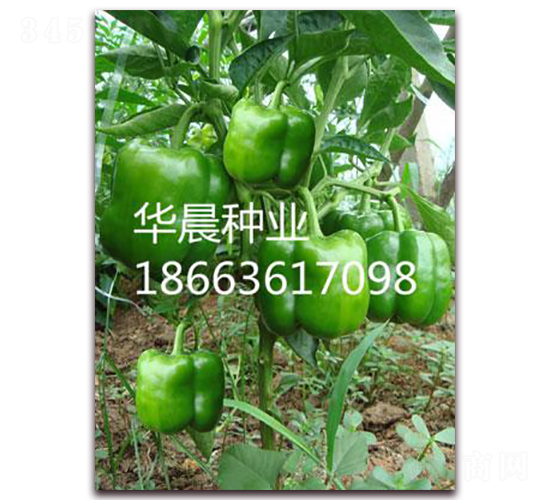 �P�أ����m��-�𽷷N��-�A���N�I(y��)