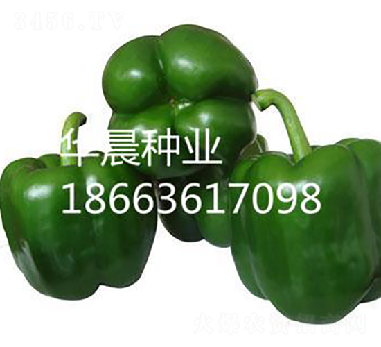 �ȱ���F1�����m��-�𽷷N��-�A���N�I(y��)