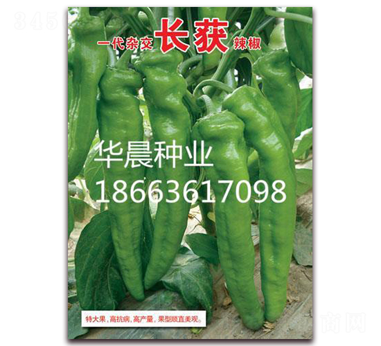 �L(zh��ng)�@-�����N��-�A���N�I(y��)