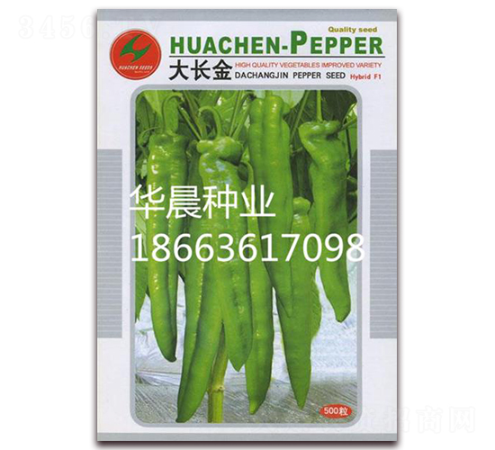 ���L(zh��ng)��-�����N��-�A���N�I(y��)