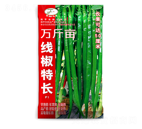 �������L-�����N��-�Ը��N��