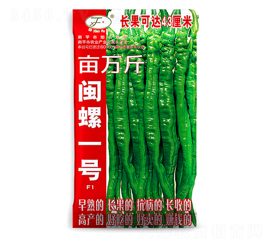 �}��һ̖-�����N��-�Ը��N��