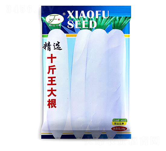 ʮ�������-�}���N��-�Ը��N��