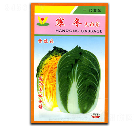 ����-�ײ˷N��-�������