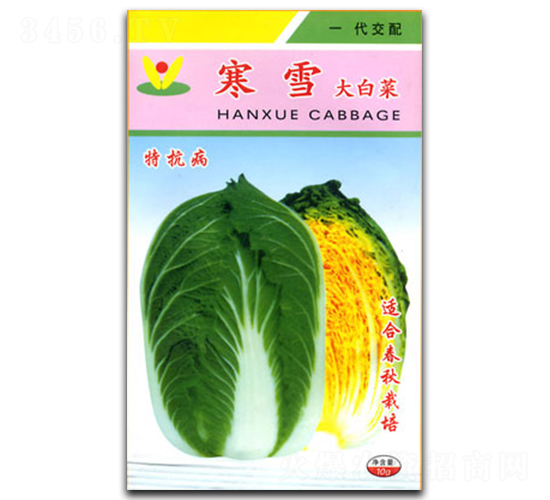 ��ѩ-�ײ˷N��-�������