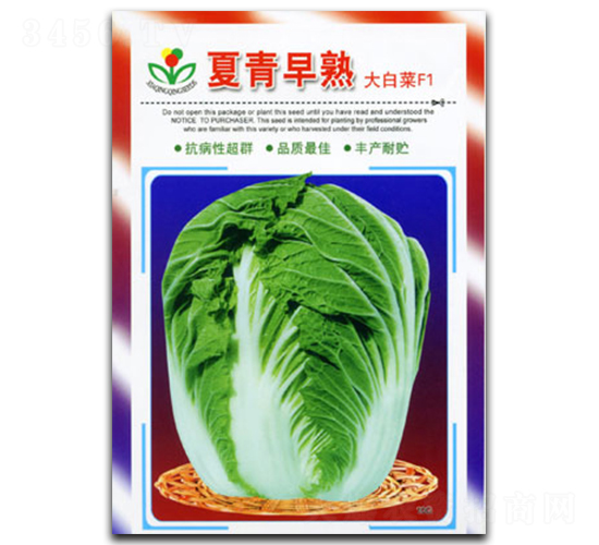 ��������-�ײ˷N��-�������