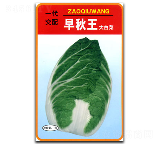 ������-�ײ˷N��-�������