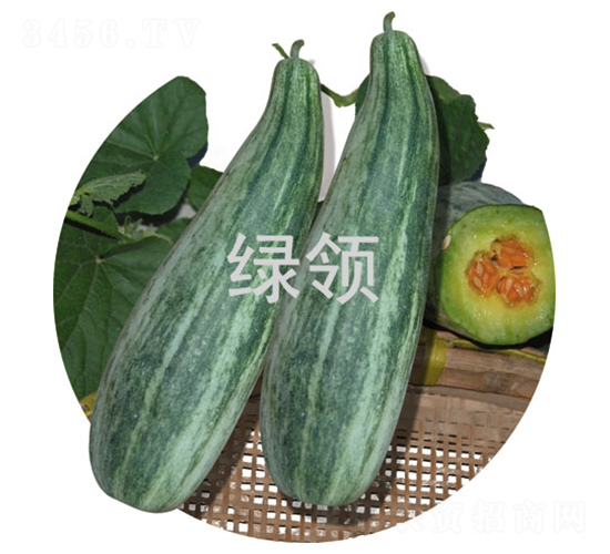 �����-��ϷN��-�G�I(l��ng)�N�I(y��)