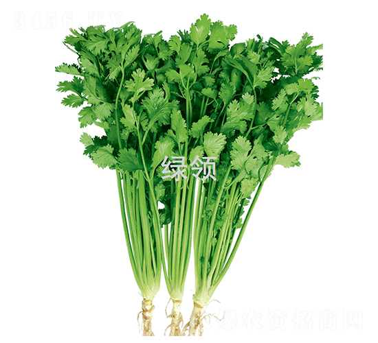 �F�U���-��˷N��-�G�I(l��ng)�N�I(y��)