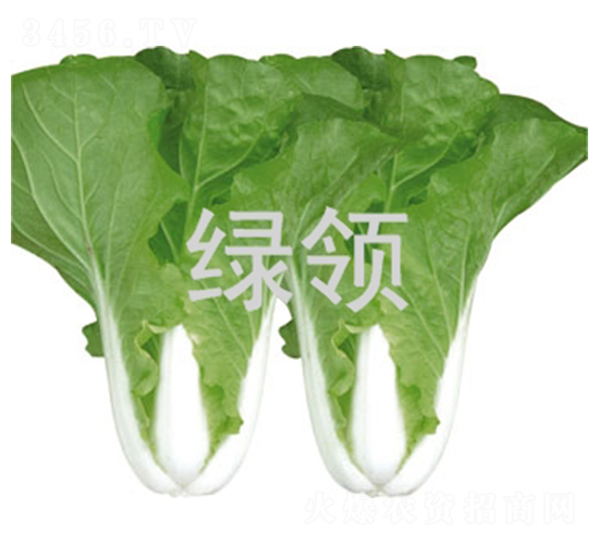 ���v1234-С�ײ˷N��-�G�I(l��ng)�N�I(y��)