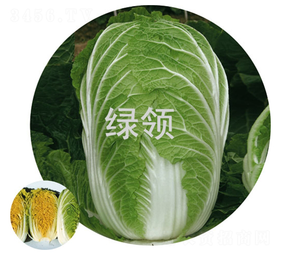 �149-�ײ˷N��-�G�I(l��ng)�N�I(y��)