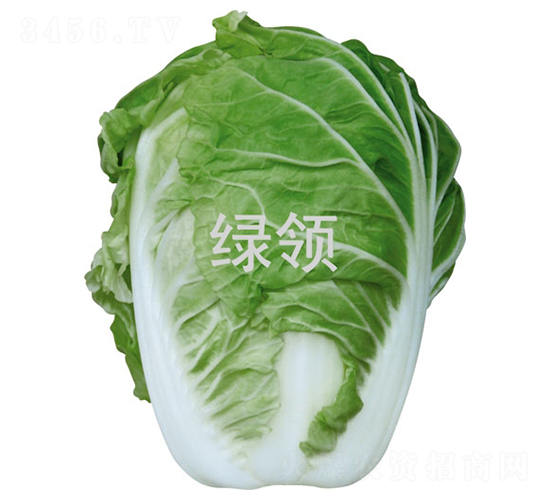 �G�I(l��ng)���(y��ng)50-�ײ˷N��-�G�I(l��ng)�N�I(y��)