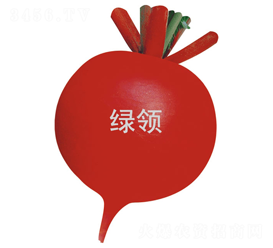 �t��40-�}���N��-�G�I(l��ng)�N�I(y��)