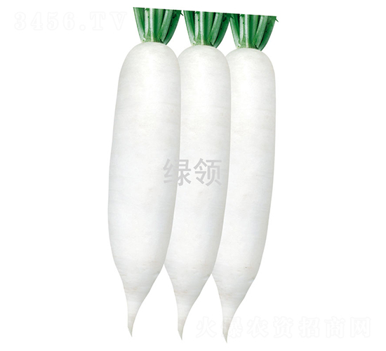 �h����1̖-�}���N��-�G�I(l��ng)�N�I(y��)