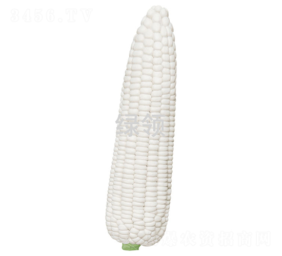 ��Ŵ3̖-���׷N��-�G�I(l��ng)�N�I(y��)