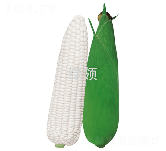 ��Ŵ1̖(h��o)-���׷N��-�G�I(l��ng)�N�I(y��)