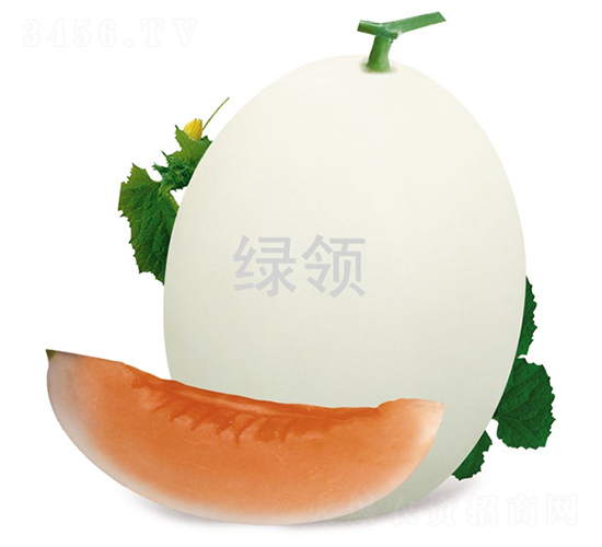 L-1548-��ϷN��-�G�I�N�I(y��)