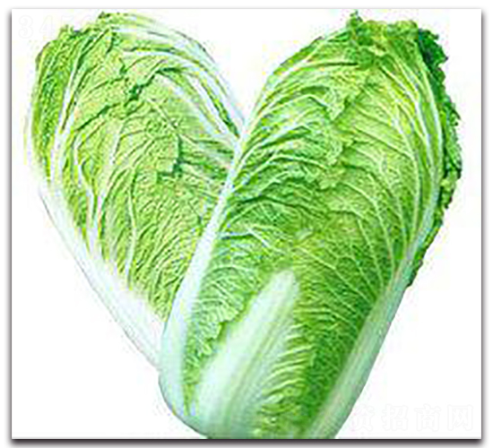 ����ժ��-�ײ˷N��-�����Z