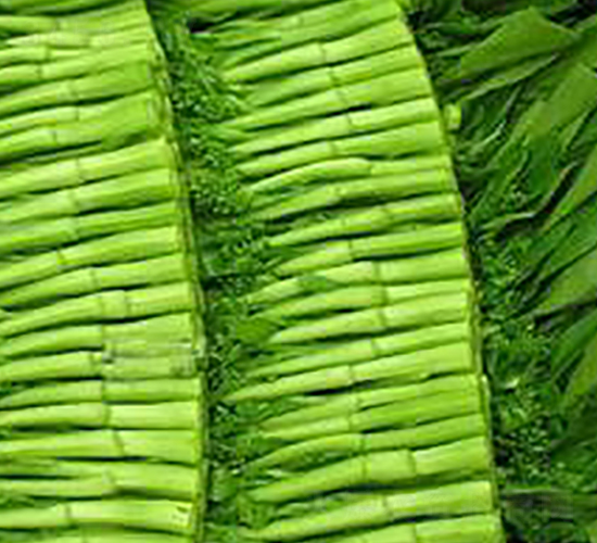 ����-�ײ˷N��-�����Z