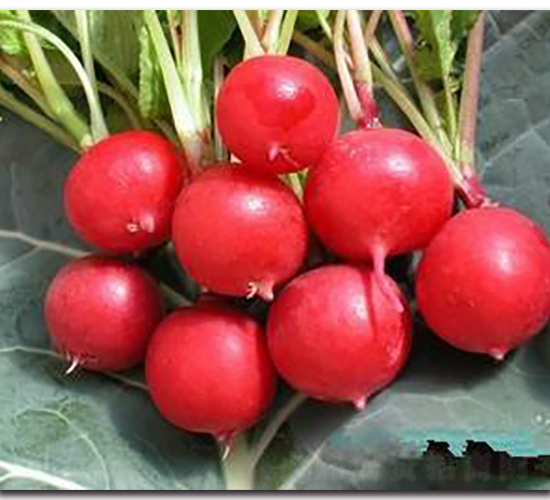 �����}���N��-�����Z