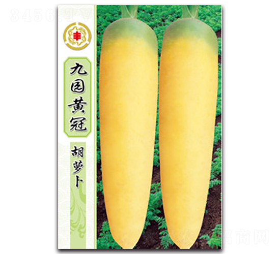 �ň@�S�ں��}��-���}���N��-�����Z