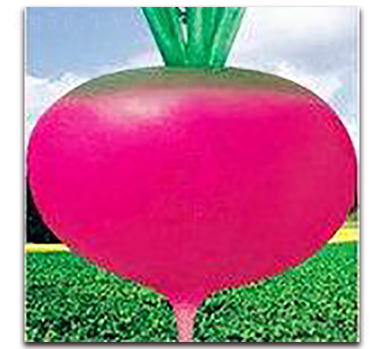 �t�A��ݼ-�}���N��-�����Z