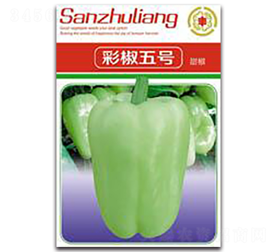 �ʽ���̖-�ʽ��N��-�����Z