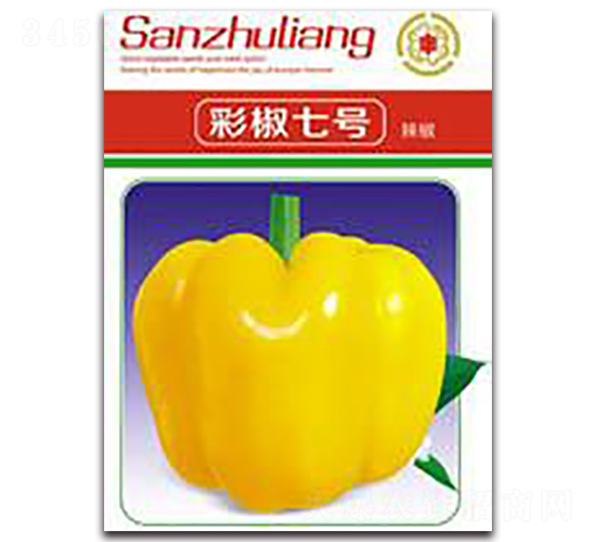 �ʽ���̖-�ʽ��N��-�����Z