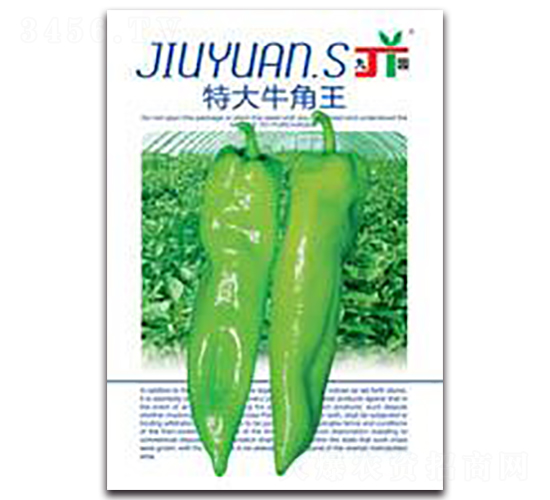 �ش�ţ����-�����N��-�����Z