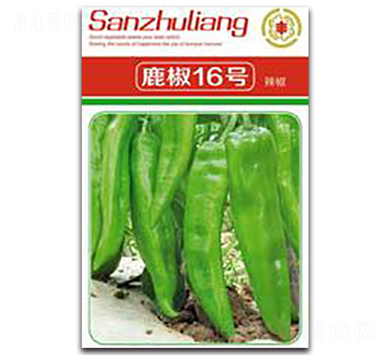 ¹��16̖�ཷ-�����N��-�����Z